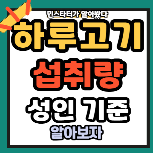 하루 고기 섭취량 성인 고기 섭취량