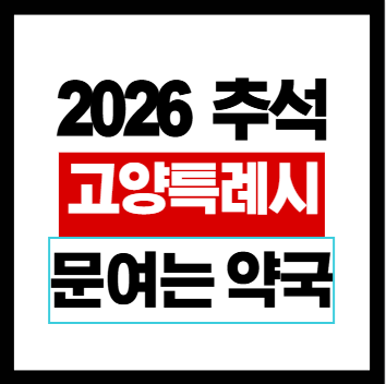 추석고양시문여는약국