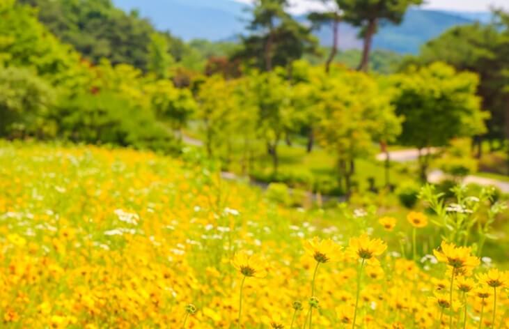 남원 가볼만한곳 베스트 10