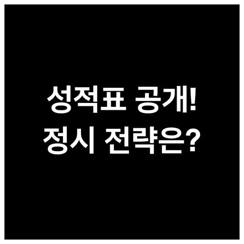 수능 성적표 확인 일정부터 정시 지원..