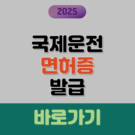 국제운전면허증 발급방법 총정리 2025(준비물, 수수료, 사용 국가)