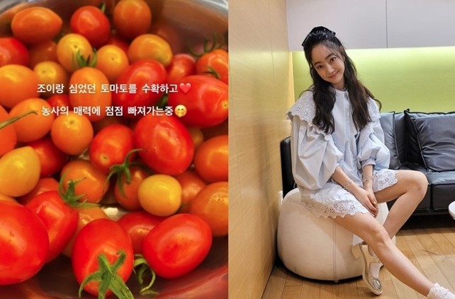 서효림 가평 별장 농사꾼 일상8