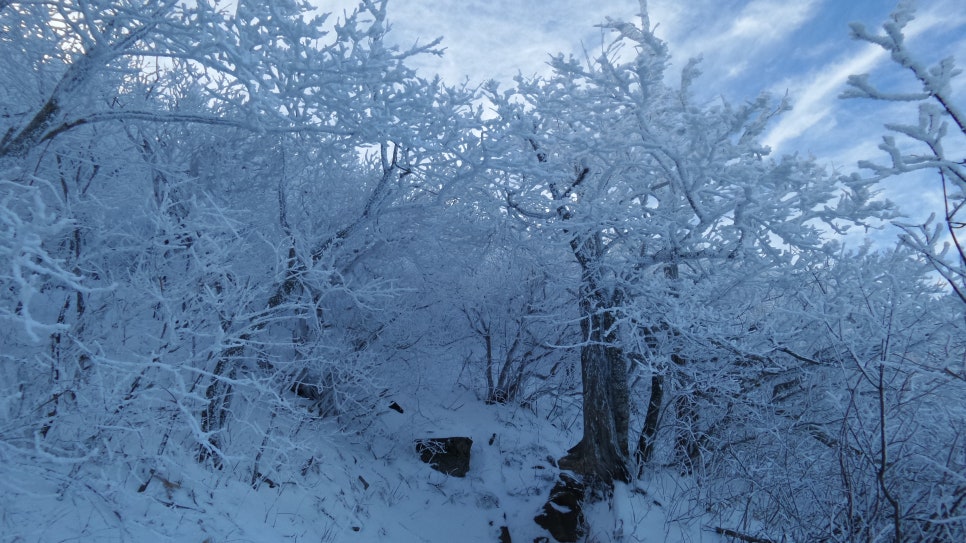 100대명산 등산하기 세번째 지리산(智異山) 은 대한민국을 대표하는 명산이자, 우리 민족의 정신이 깃든 산 남한의 최고 명산 천왕봉의 산