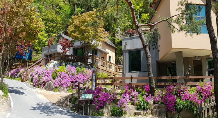 박달재 자연휴양림