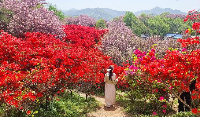 할머니 손맛 전통 한옥 전주 현지인 추천 숨은 맛집 BEST5 확인하기