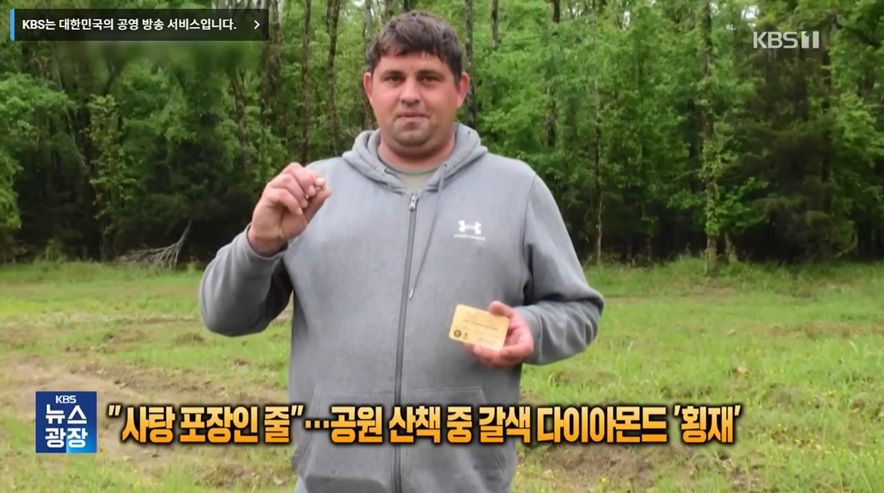 공원에서 발견한 갈색 다이아몬드