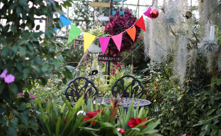 퍼스트가든 별빛축제