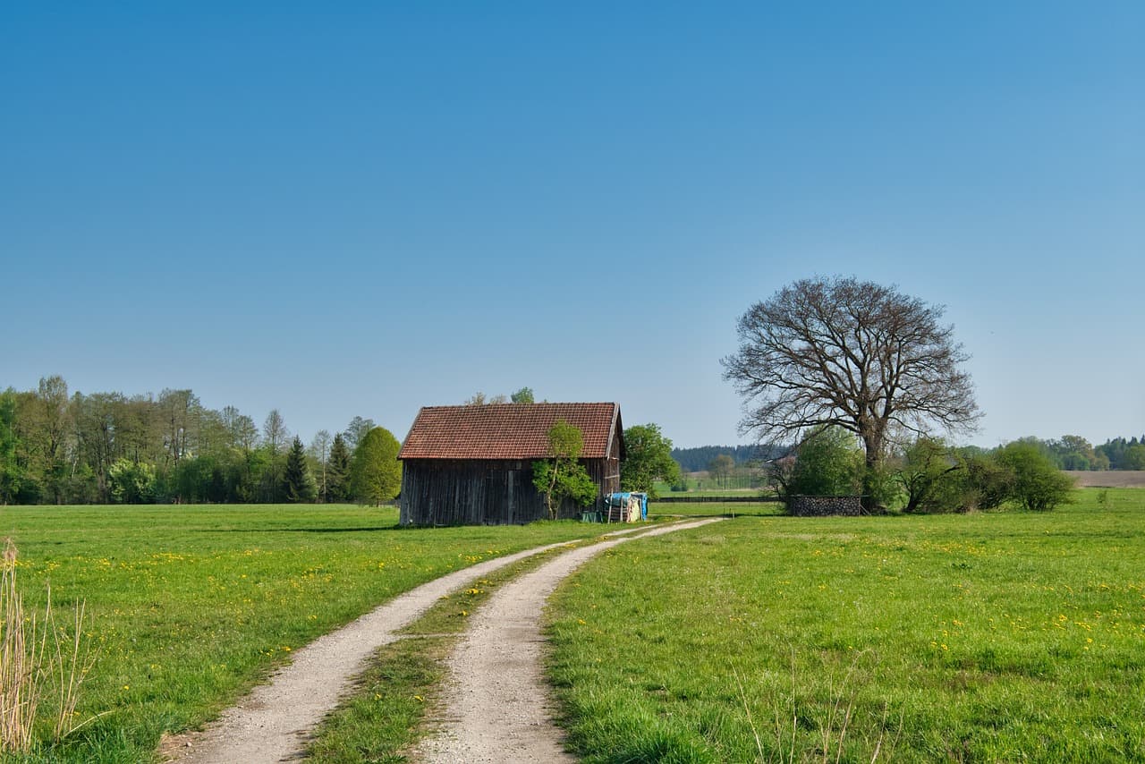 AI 시대의 SEO: 상위 랭킹을 위한 새로운 접근법