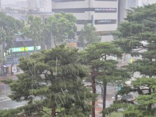 대구 우박 이유와 피해 차량 파손 보험 처리 방법