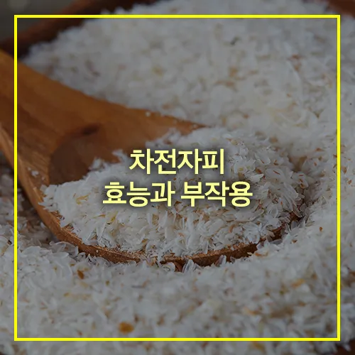 차전자피의 효능과 부작용