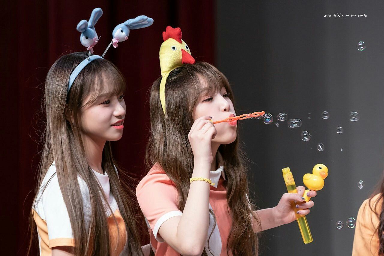 아이즈원 프로듀스48 사진 모음