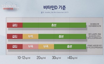 비타민D기준