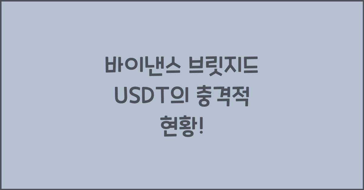 바이낸스 브릿지드 USDT (BSC-USD)