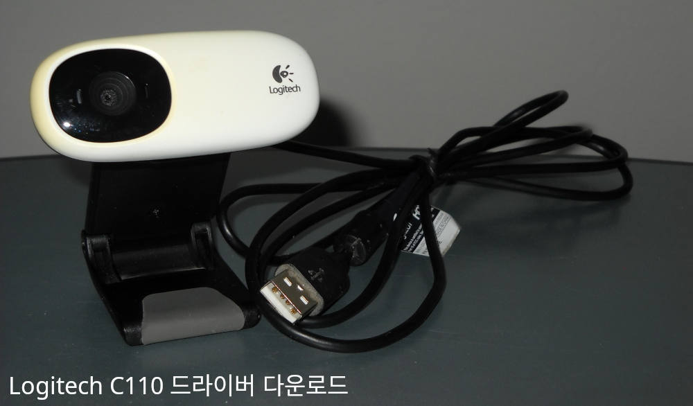 Logitech C110 드라이버 다운로드