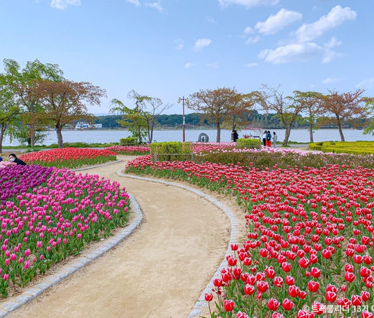 경포플라워가든