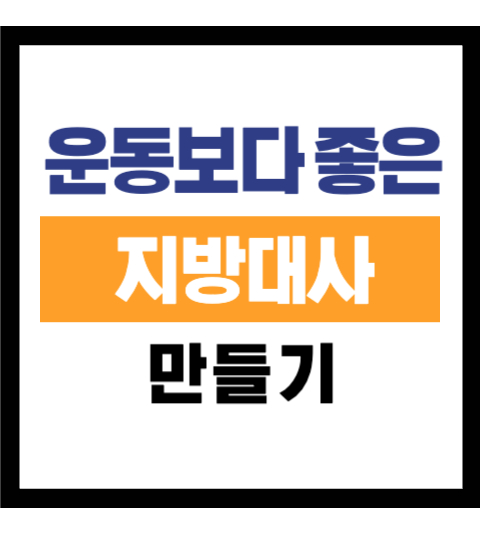 지방태우기 습관