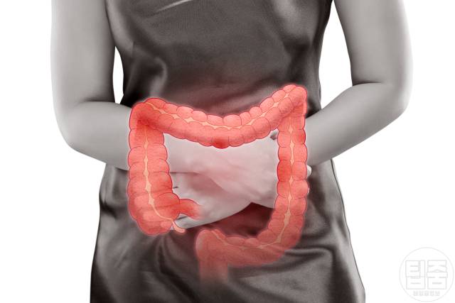 장독소 증상 장독소 빼는법 체함