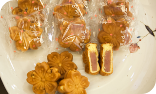 2023년 벚꽃축제 경남 진해군항제 지역축제 정보_벚꽃개화시기, 벚꽃 만개시기, 벚꽃군락지, 여의도 윤중로, 이월드 블라썸 피크닉.