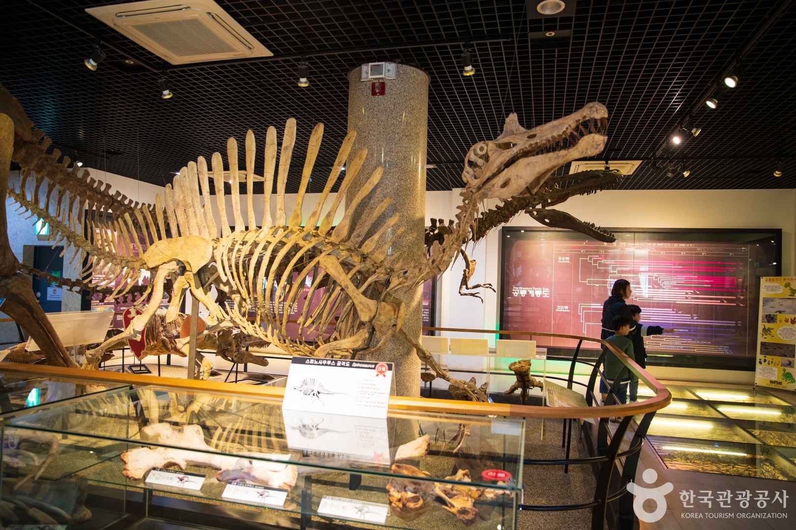 안면도쥬라기박물관