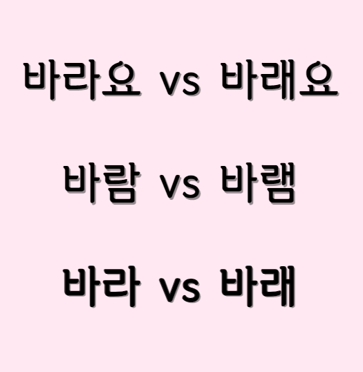 바라요 바래요 바람 바램 바라 바래 맞춤법