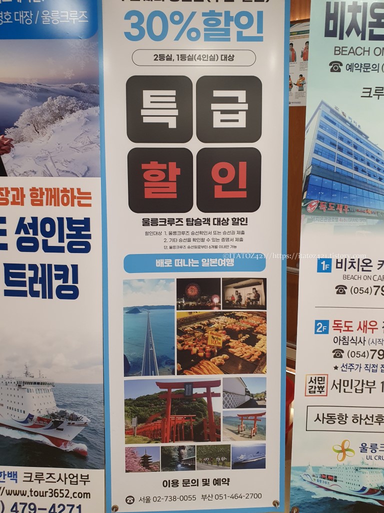 울릉 크루즈 할인 행사