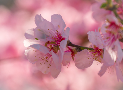 첫 솔로 여행, 언제 떠나는 게 좋을까? 혼자 여행하기 좋은 시기와 계절 추천