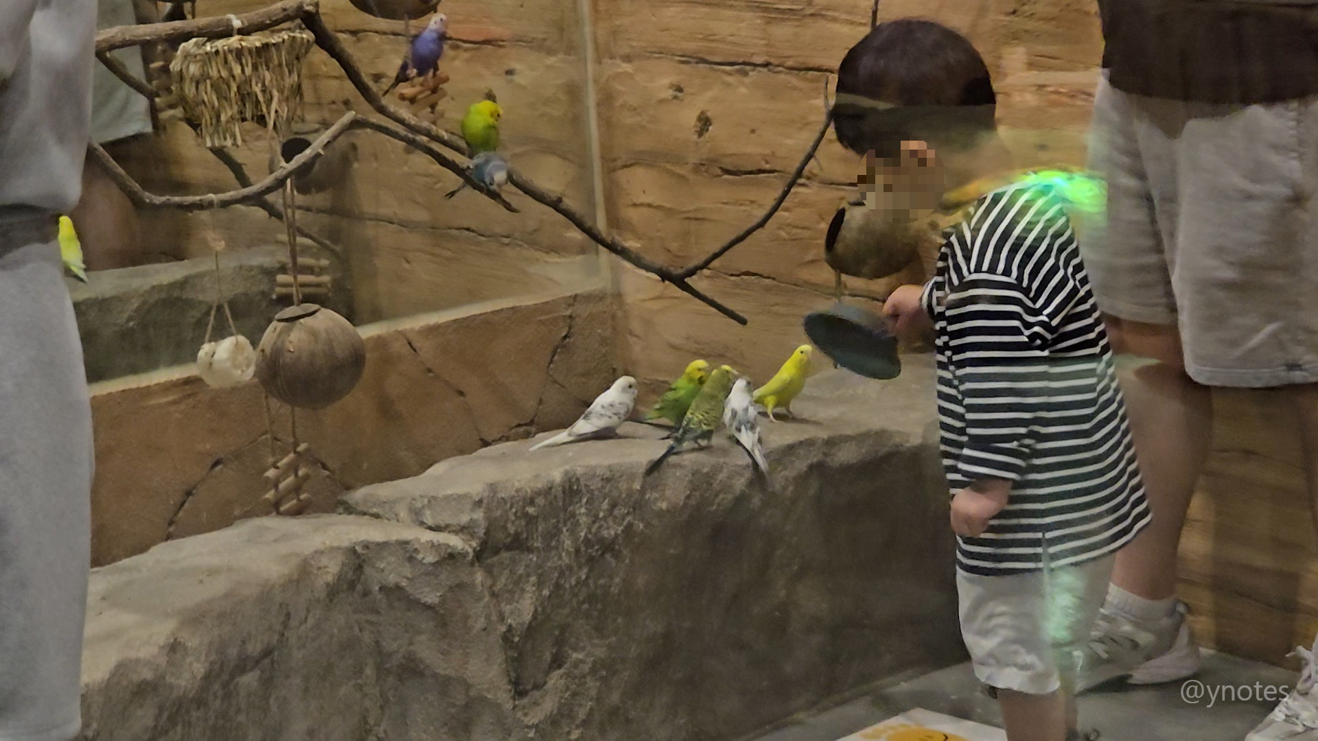 쥬뗌므 키즈랜드