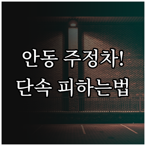 안동시 주정차 문자 알림 신청 및 실..