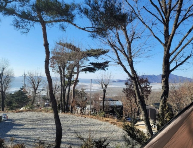검디관광농원 캠핑장 모습