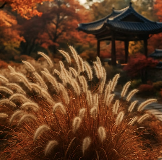 한번 심으면 잡초처럼? 수크렁의 무서운 번식력과 관리법