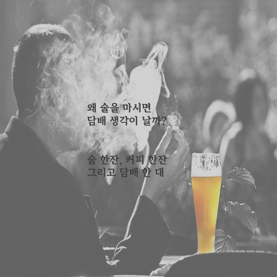 왜 술을 마시면 답배 생각이 날까?