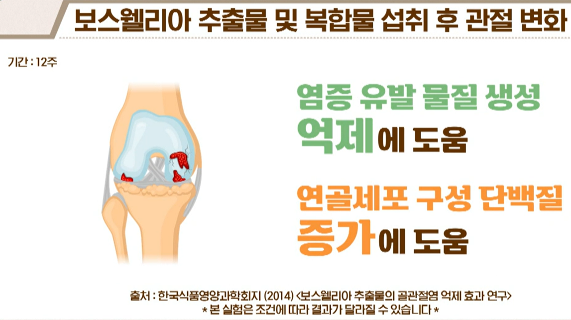 보스웰리아 효능