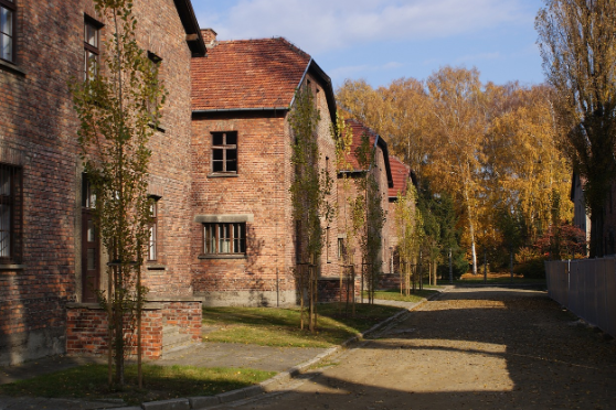 가짜 과학과 진화론 다윈의 이론이 어떻게 왜곡되어 사용되었나