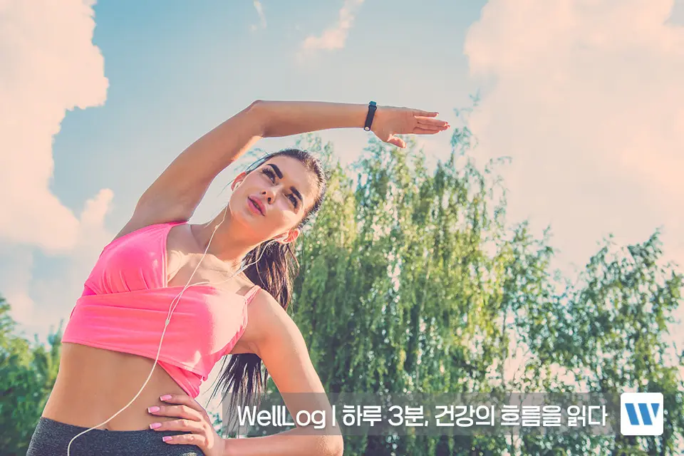 햄프씨드 효능 단백질 오메가3 항산화