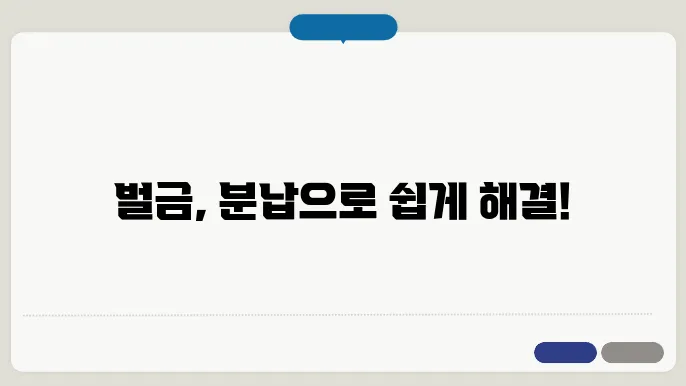 벌금 분납 신청 과정