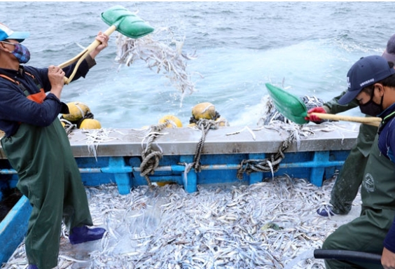 어업인 재해보험