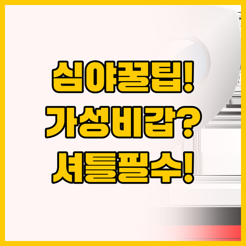 심야 비행기 이용객 필수 확인 인천공..