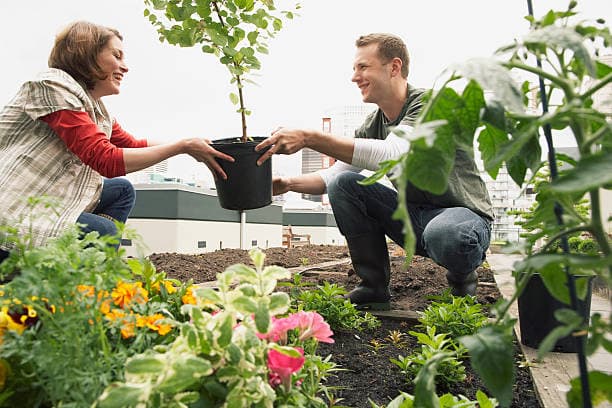 공동체 농업의 성공을 위한 필수 요소 7가지