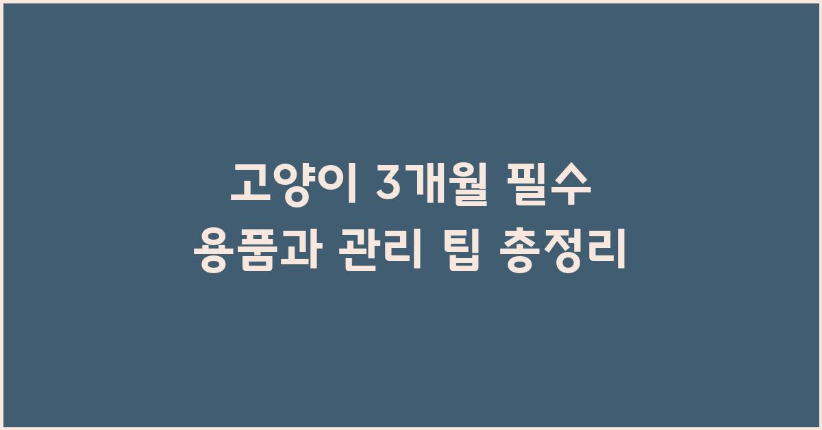 고양이 3개월
