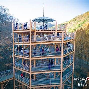 장태산 자연 휴양임 메타콰이아 숲