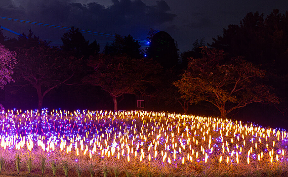 제주 민속촌 벨섬 입장료 할인