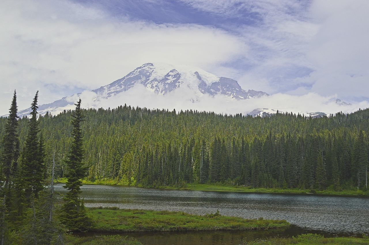 시애틀 여행 관련사진