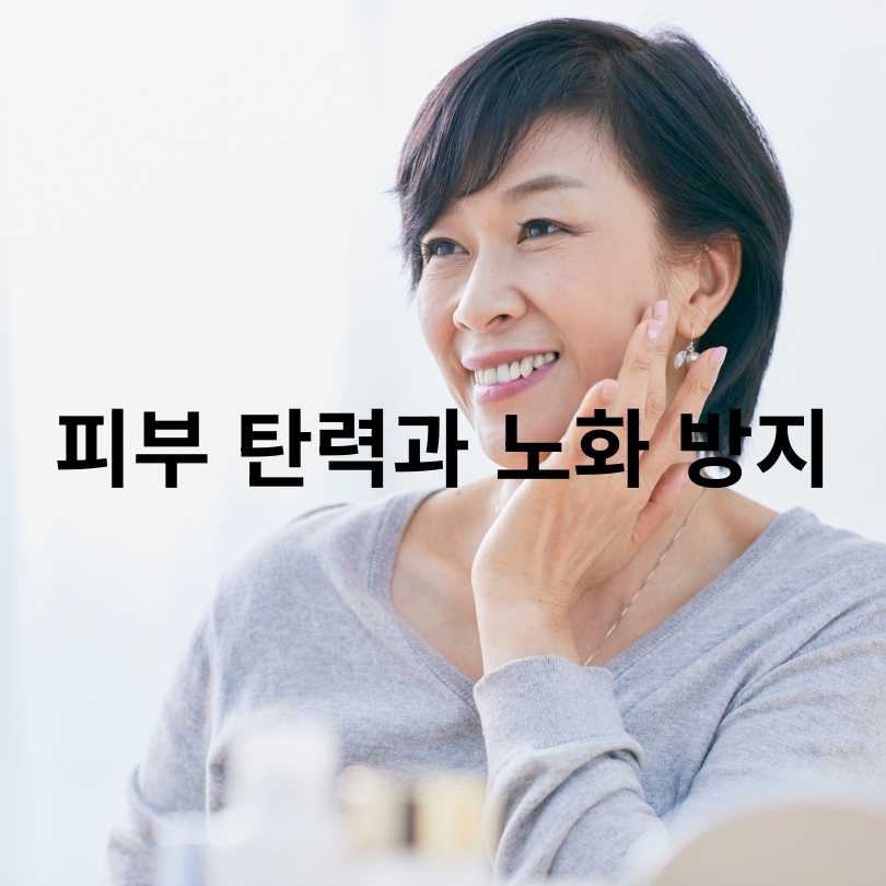 아구아헤 오일 효능부터 먹는 방법&amp;#44; 부작용