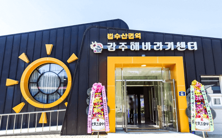 강주 해바라기 축제