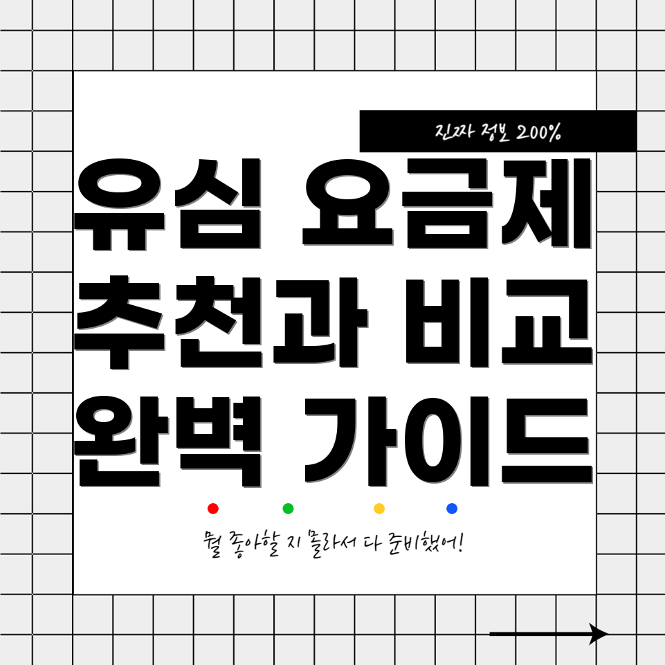 KT 알뜰폰 유심 요금제