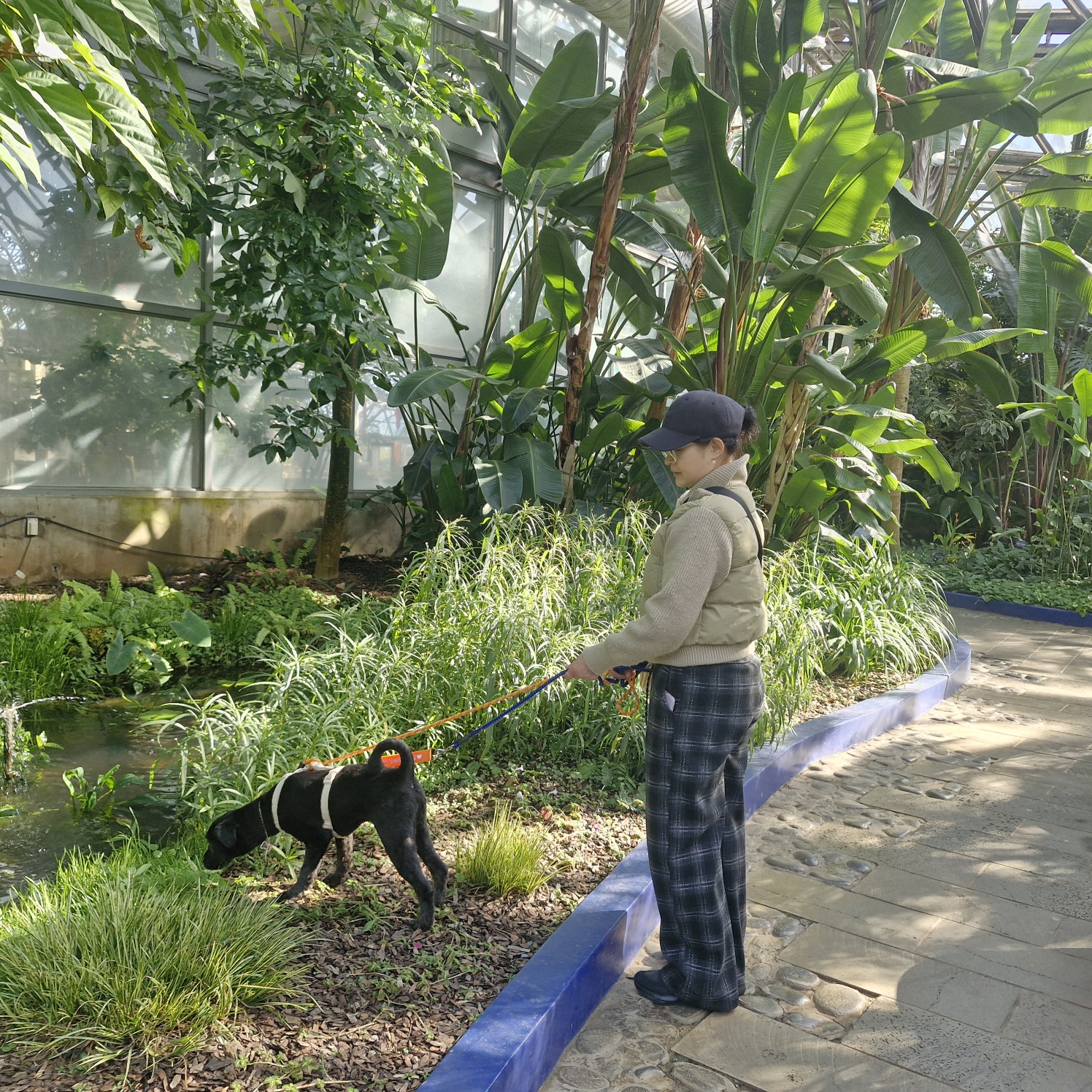 강아지가 진짜 원하는 10가지 (사료보다 더 중요한 것들)