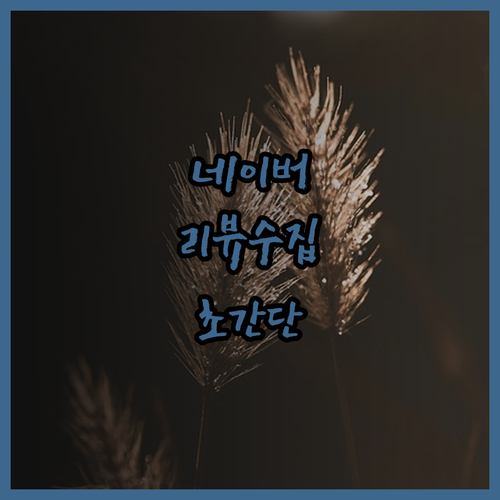 네이버 플레이스 리뷰 데이터 수집, 