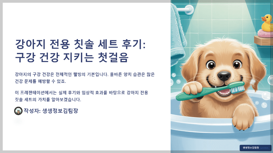 강아지 전용 칫솔 세트 후기 – 구강 건강 지키는 첫걸음