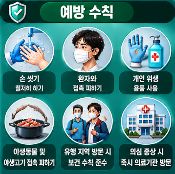 에볼라바이러스 증상 치사율 감염경로 총정리6