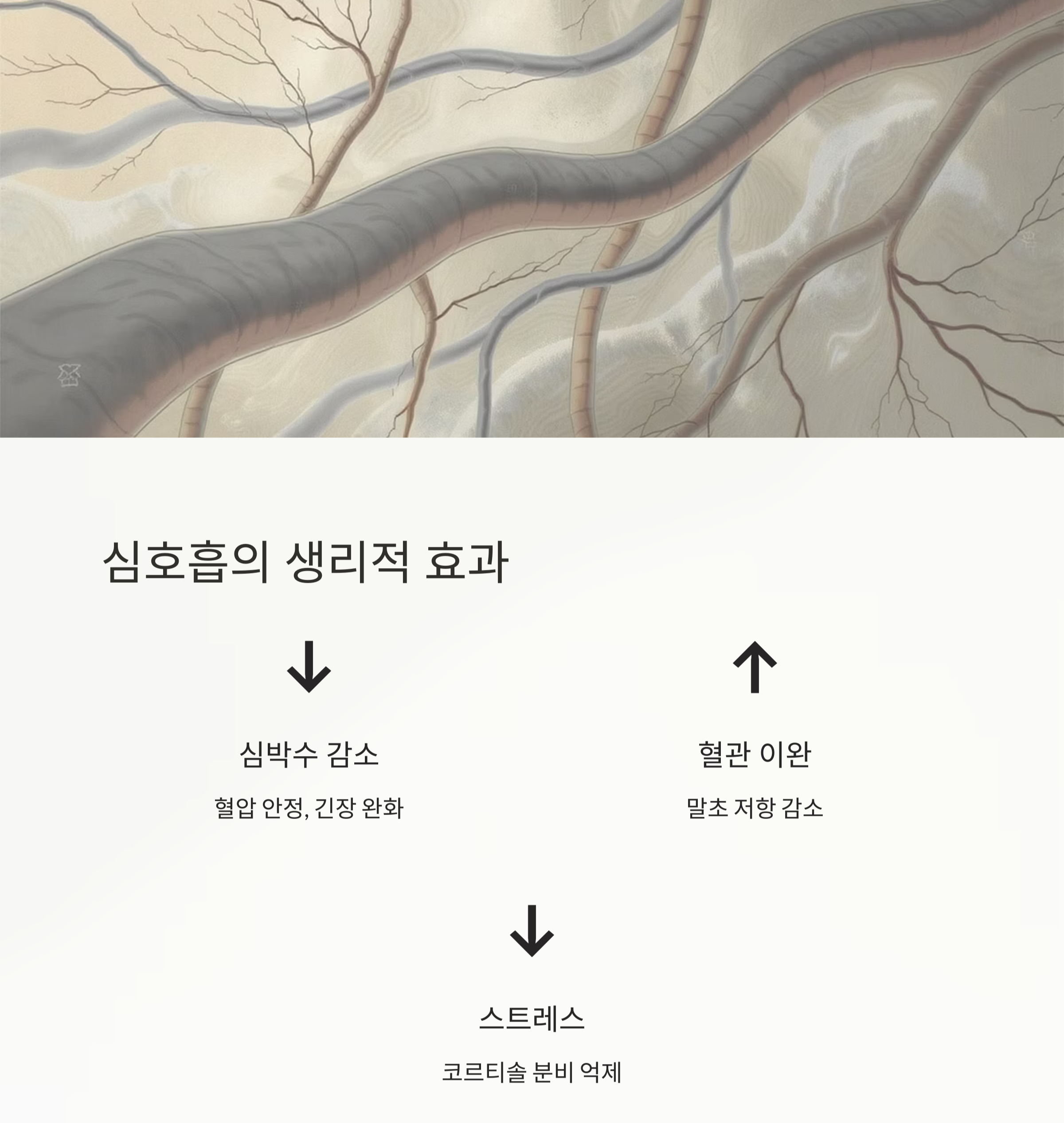 심호흡의 놀라운 효과, 혈압 낮추는 데 정말 도움이 될까?